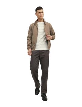 Cazadora Jack&Jones Rush falcon