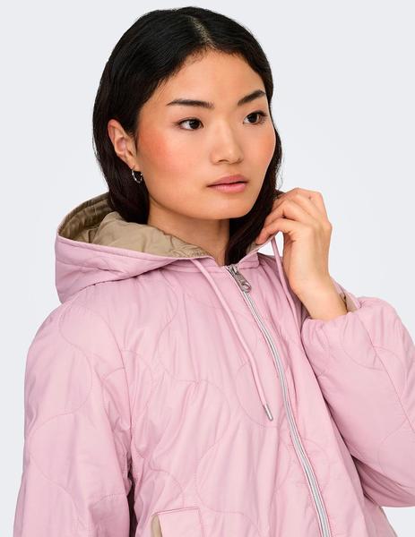 Gallery a10707 qntv7ib7