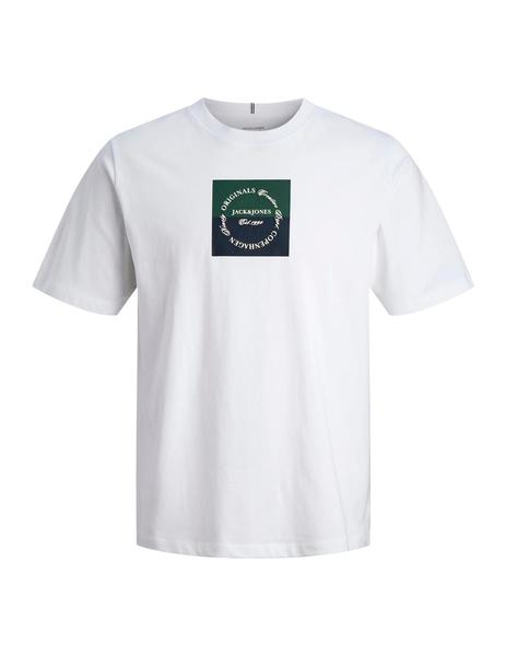 Gallery a10792 zbteeonw